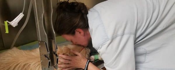 RIP sweet Buttercup… YOUR LIFE MATTERED!!!