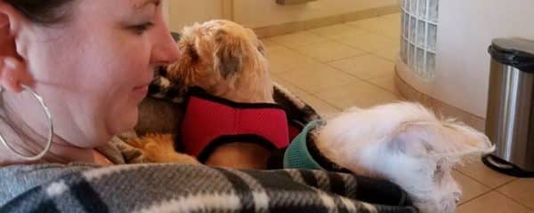 Our Sweet Lani is officially Home & Adopted!