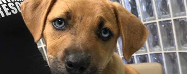 2 more innocent lives saved!!!