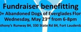 This Wednesday, May 23rd…