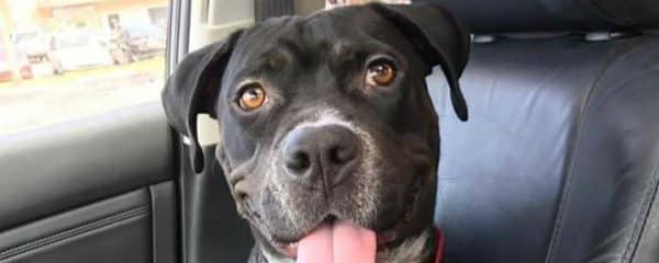 Hey everybody mommy Ella here! Remember me?