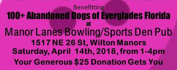 Tomorrow!! 1-4 COME JOIN US!!