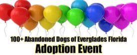 TODAY 12-3 ADOPTION EVENT!!!