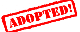 BIG ADOPTION ANNOUNCEMENT!!!