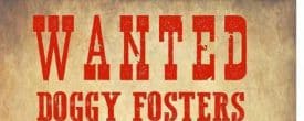 WE DESPERATELY NEED FOSTERS!!!!