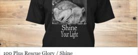Glory shirt campaigns … here is the second option.