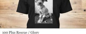 Glory shirt campaigns … here is one option.