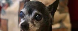 Our Lucky is going Home!!!!
