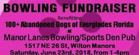 This Saturday June 23rd 1-4 Fundraiser Bowling for the Dogs!