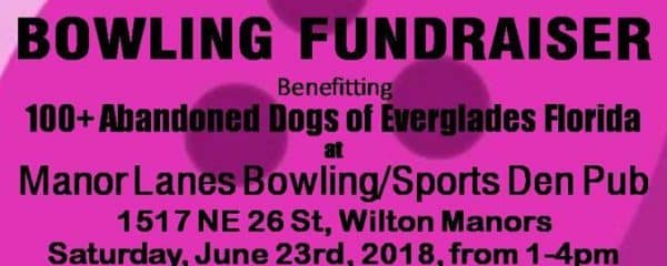 Today!! Saturday 1-4 June 23rd