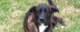 UPDATE FOUND SAFE!!!! THANK GOD