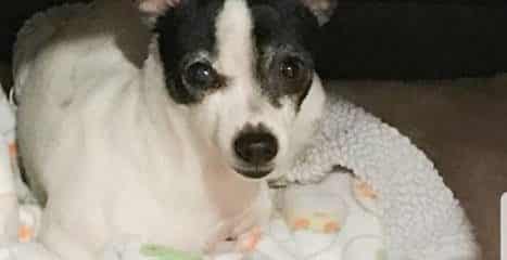 UPDATE OWNER FOUND! :-) THANK YOU!