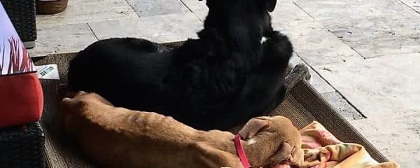 GLORY UPDATE WITH HER SISSY ROXY