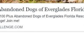 WE NEED YOUR VOTES, FIRST PRIZE IS 100,000 DOLLARS!!!