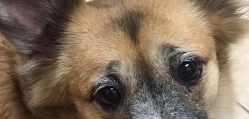 NO ANIMAL SHOULD BE FORCED TO LIVE IN THESE CONDITIONS!!!