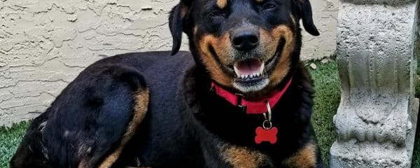 Brian update