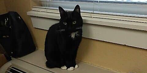 This beautiful girl is Mariah.