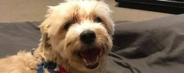Teddy update!!!