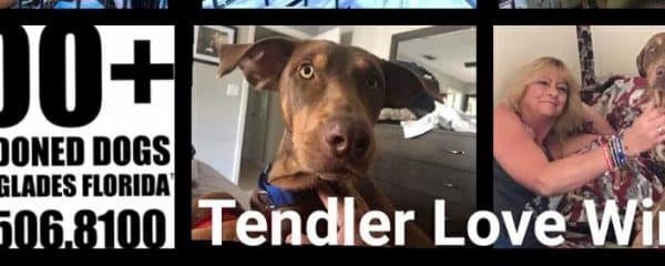 Tendler update!!!
