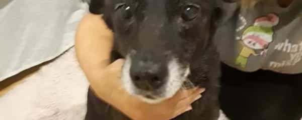 UPDATE!! OWNER FOUND!