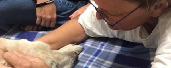 PLEASE HELP JUPITER, MASSIVE TUMOR TAKING OVER HIS BODY…
