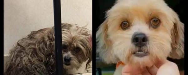 Anny – Before and After