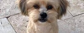 GOOD MORNING UPDATE ON ANNY!