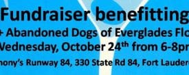 SAVE THE DATE! Anthony’s Runway 84 Meatballs & Martinis Fundraiser