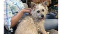 UPDATE FOUND SAFE!