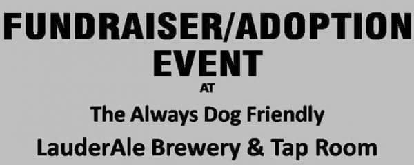 Fundraiser & adoption event at LauderAle Brewery & Tap Room