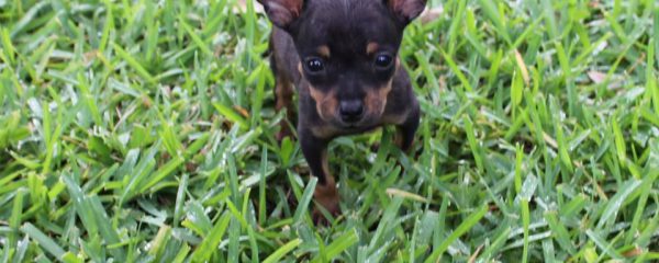 Happy Adoption Day Xen!!!!