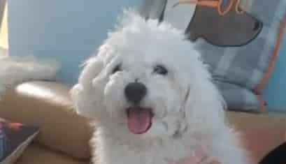 Welcome Bella to 100+