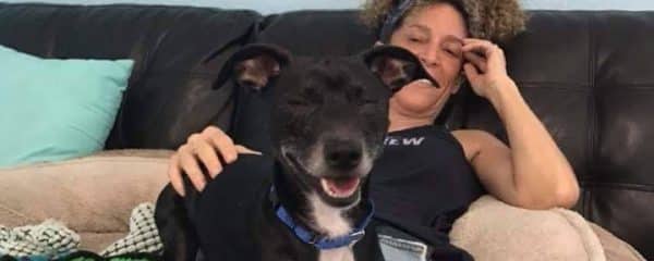 HAPPY ADOPTION DAY MY SWEET CHARLEY