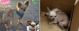 Look at Daisy now…
