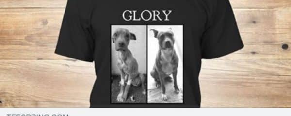 GLORY APPROVED!!!