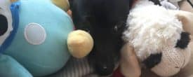 AMAZING UPDATE FROM CHARLEY’S MOMMY