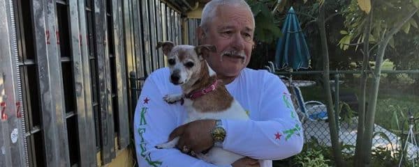 ADOPTED! Angel the 13 year old jack Russell