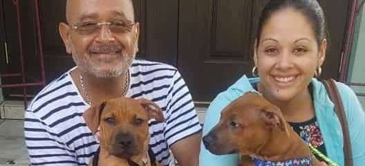 Yes!!!! Double Adoption Brothers