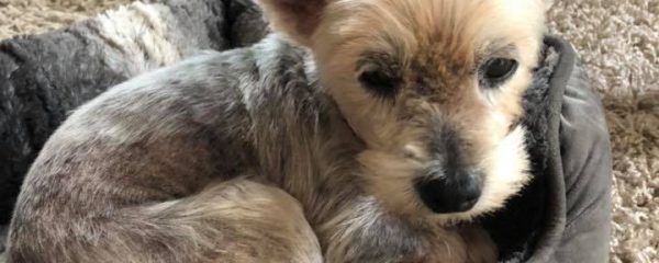 SAM SAYS THANK YOU FOR SAVING HER LIFE