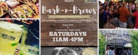 Bark-n-Brews at Tatts & Tacos