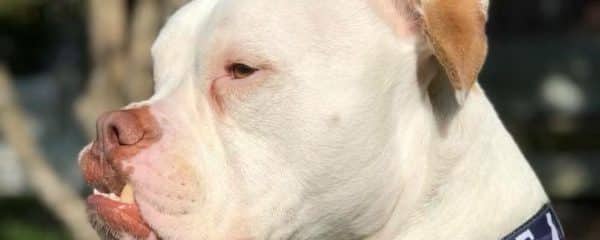 Albert Needs your prayers and your donations