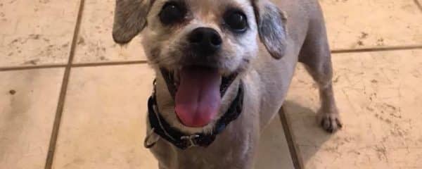 Teethies!!!!