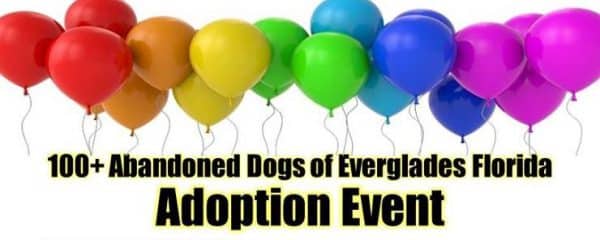 Come out and meet blue…