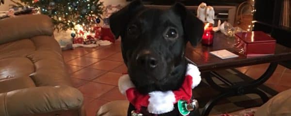 It was Tori’s first Christmas.