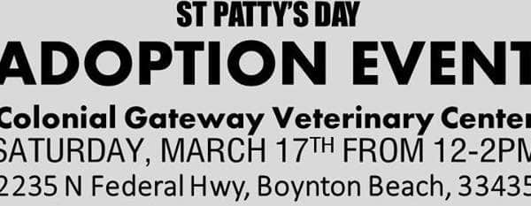 St Patricks Day Adoption Event