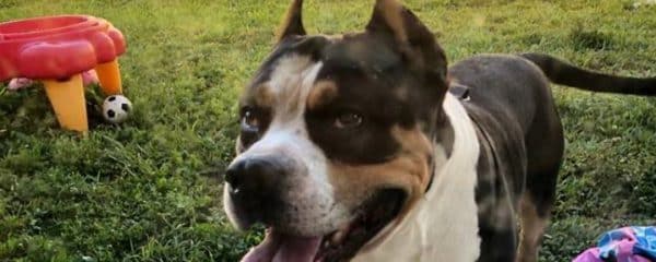 Urgent …Found in Sunrise FL
