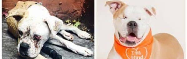 This before and after always stops us in our tracks!!