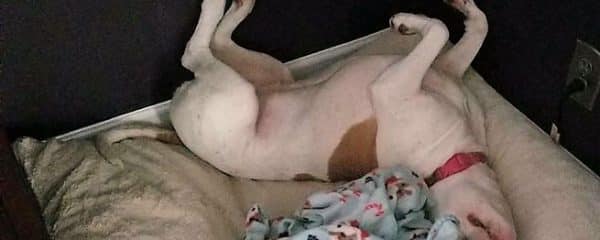 Molly (fka Melody) is such a goofball.