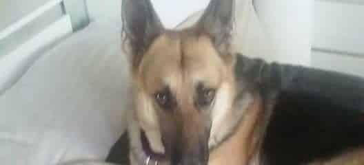 Mindy update!!