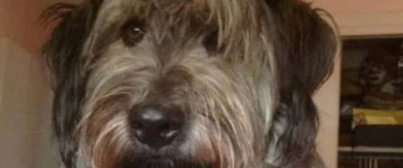 Good morning from Tootsie (fka Bertha).